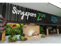 singapore-zoo-tickets-small-0