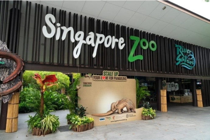 singapore-zoo-tickets-big-0