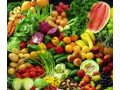 wholesale-supply-of-vegetables-small-0