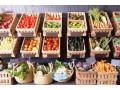 wholesale-supply-of-vegetables-small-2